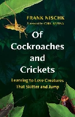 [cover image]