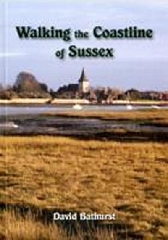 [cover image]