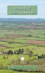 [cover image]